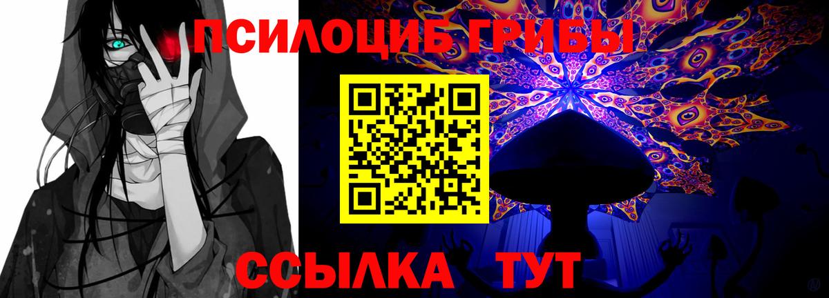 Галлюциногенные грибы Magic Shrooms Кондопога